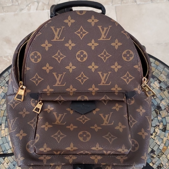 💯% Auth Louis Vuitton Palm Springs Backpack - PM - Picture 4 of 12